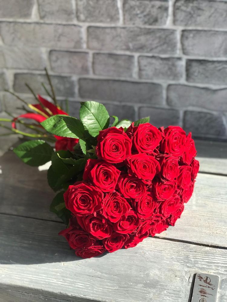 Букет Красные розы Фридом в Горы
