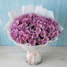 Букет цветов из:  Хризантемы #REPLACE_PRED# Горы