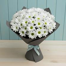 Букет цветов из:  Хризантемы в Горы
