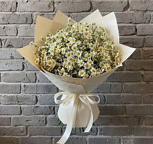 Букет цветов из:  Ромашки в Горы