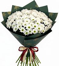 Букет цветов из:  Хризантемы в Горы