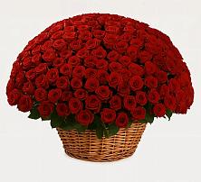 Премиум букет из: Розы в Горы